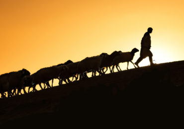 Leading with Purpose