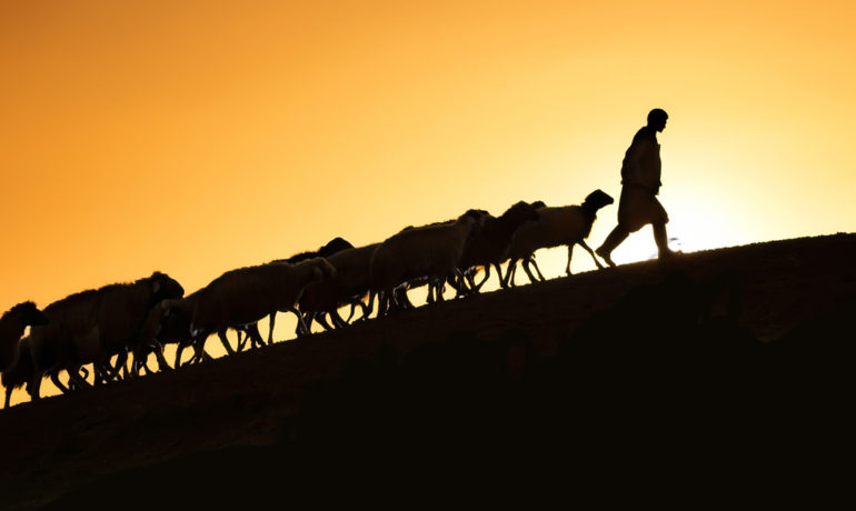 Leading with Purpose